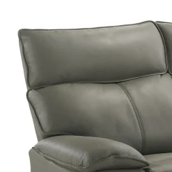 Wildcat Reclining Sofa In Gray