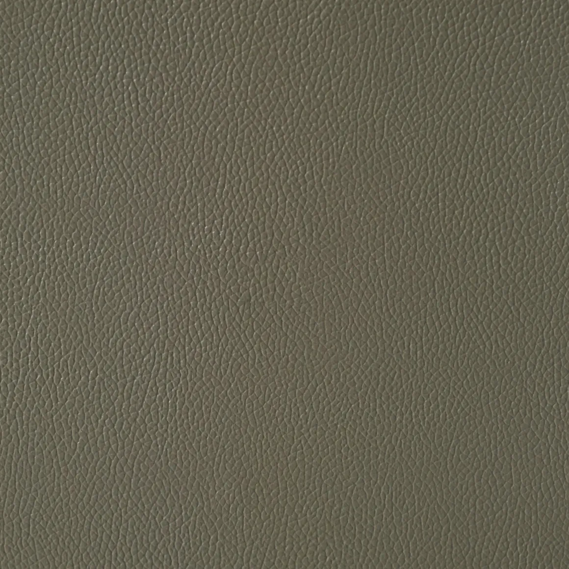 Wildcat Reclining Sofa In Gray